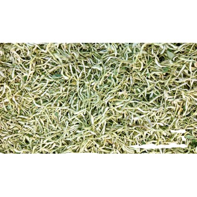 金银花带绒毛河南金银花 花茶散装批发 山银花 草茶 河南封丘茶叶图3