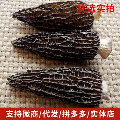 云南特产新货剪脚头茬羊肚菌批发菌类干货实拍羊肚菌干货散装250g图3