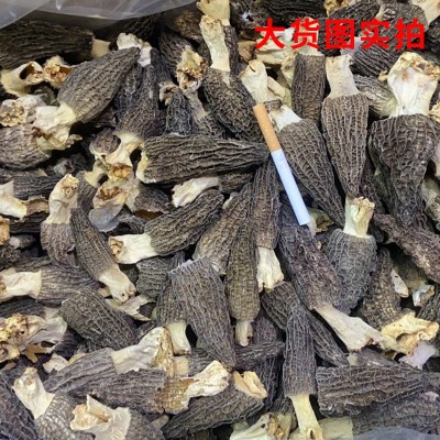 云南特产新货剪脚头茬羊肚菌批发菌类干货实拍羊肚菌干货散装250g图4