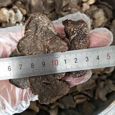 黑松露 猪拱菌块菌 礼盒装菌类干货煲汤食材50g产地 厂家批发代发图4