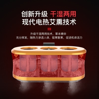 艾灸熏蒸仪器全身家用理疗灯美容院专用加艾绒无烟一体机艾灸灸具图2