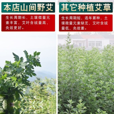 7cm大炮灸5厘米雷火灸6cm艾条4cm艾草条4厘米3cm悬灸条温灸条艾柱图2