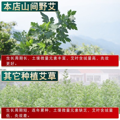 4cm雷火灸艾灸条4厘米悬灸艾条美容院艾灸条艾草条艾灸馆用温灸条图3