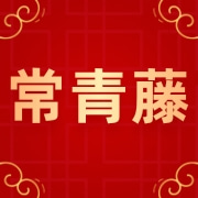 企业logo