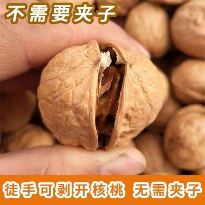新货大核桃 500克袋装薄皮核桃 185纸皮核桃核桃仁厂家批发图2