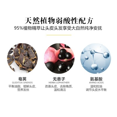 植优植物凝萃滋润控油去屑清爽头皮蓬松留香洗发露厂家3瓶图4