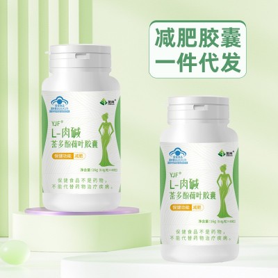减肥产品胶囊片蓝帽保健食品左旋肉碱茶多酚荷叶胶囊减肥厂家批发图3
