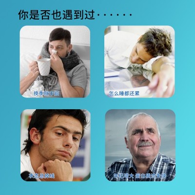 双植物蛋白粉oem定制特膳运动营养食品乳清蛋白粉代发植物 蛋白粉图4