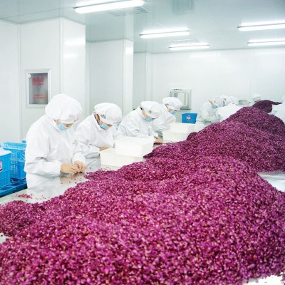 平阴重瓣红玫瑰花瓣食用玫瑰干花瓣 产地厂家供应 大量批发花瓣图4
