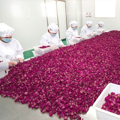厂家拿货 平阴重瓣红玫瑰花蕊花冠茶 散装批发图4