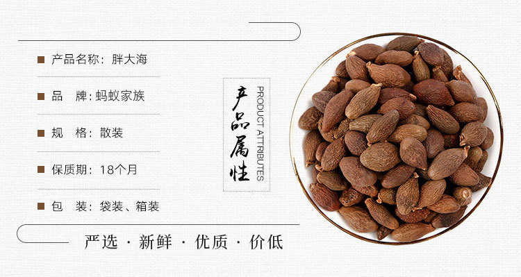 胖大海-1.jpg