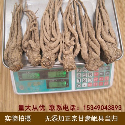 当归甘肃岷县原产地中药材大量批发多规格当归条非野生可切当归片图2