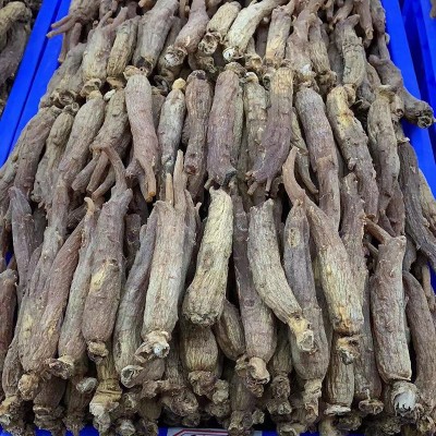 厂家批发无糖红参 东北吉林长白山集安边条参 原条非高丽红参片图2