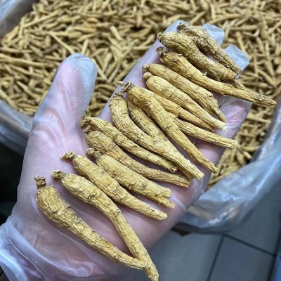 大货批发加拿大西洋参 花旗参整支3克尖尾非西洋参片参段一件代发图2
