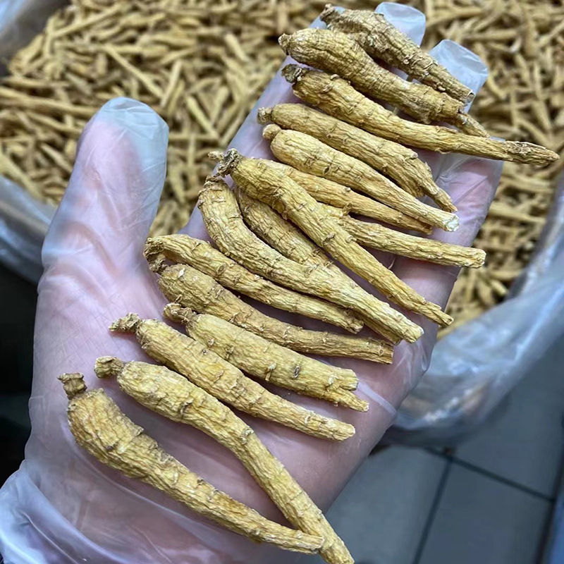 加拿大2克尖尾4.jpg