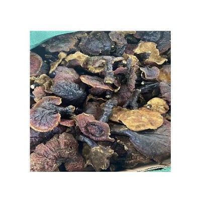 产地大货批发 西藏灵芝金边灵芝 泡酒煲汤食材 一件代发诚招代理图5