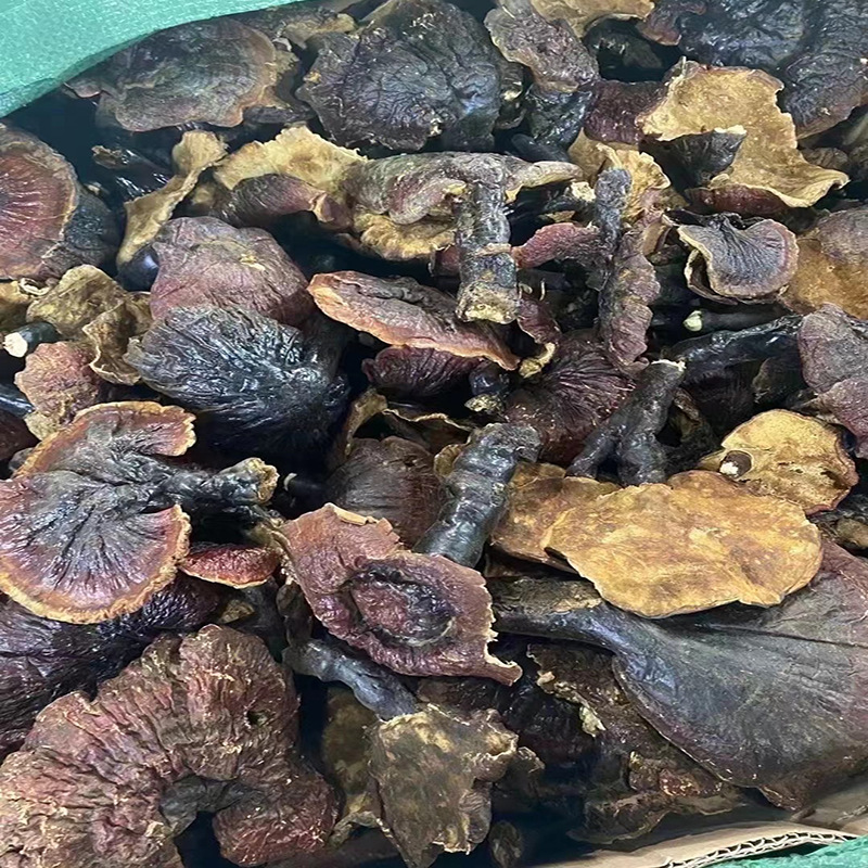 西藏灵芝6.jpg