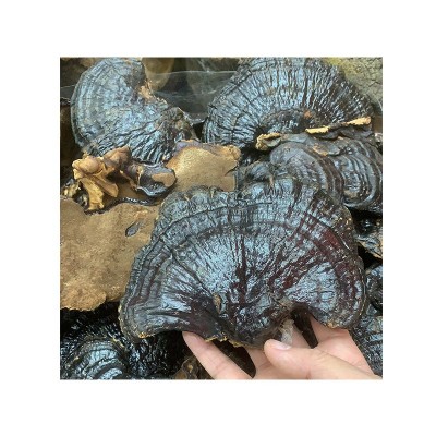 产地大货批发 吉林长白山广西山东黑灵芝 非灵芝片一件代发图5