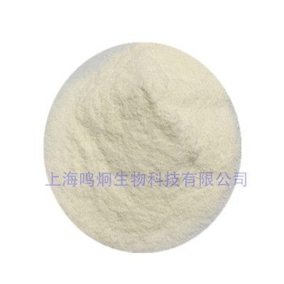 现货供应 1公斤起批 食品级 几丁聚糖 甲壳素图5
