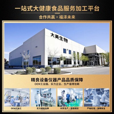 玉米胚芽粉代加工 小分子玉米低聚肽含SOD批发 玉米胚芽粉oem定制图2