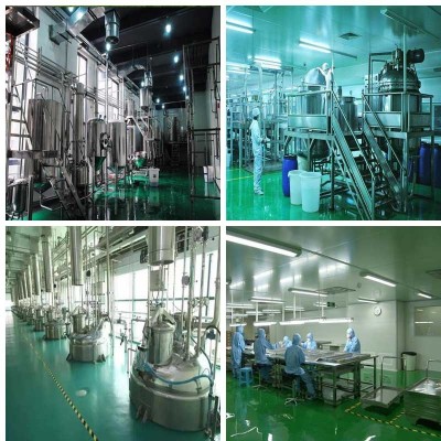人参皂苷rh280%rg3专做人参皂甙月产10吨供保健品厂现货包邮图2