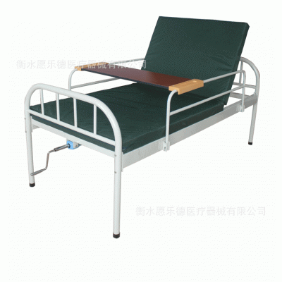 供应ABS双摇床医院养老院家用病床升降靠背护理床图3