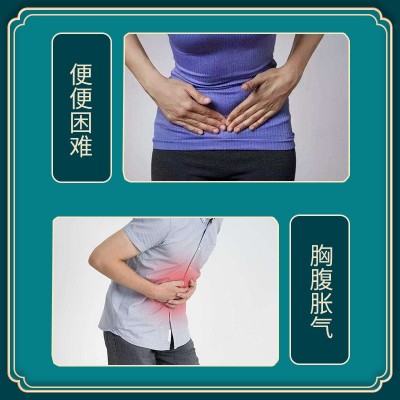 茯济堂火麻仁丸源头工厂图2