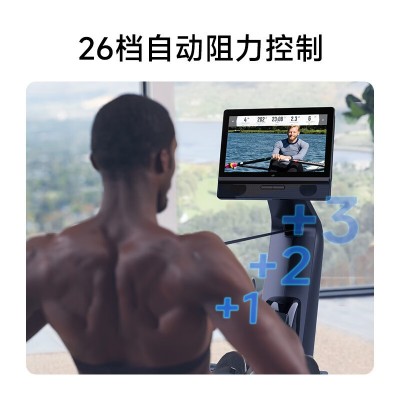 爱康ICON划船机39124健身房家用静音磁控室内划艇有氧划船器RW300图5