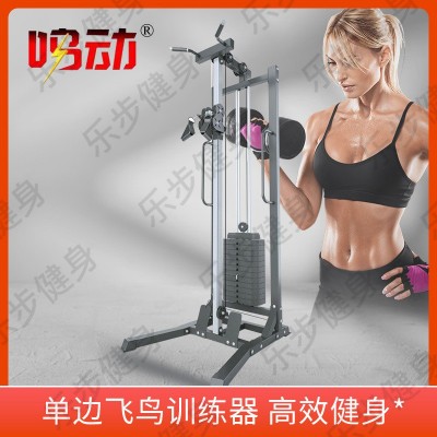 单边飞鸟单边商用家用综合训练器训练器高位下低拉划船一体龙门架图2