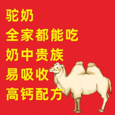 秀臻堂驼奶驼乳钙片高钙批发代发图2