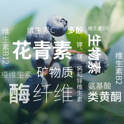 150g花青素蓝莓粉 果蔬菜纤维蓝莓果粉 膳食纤维轻食代餐烘焙图2