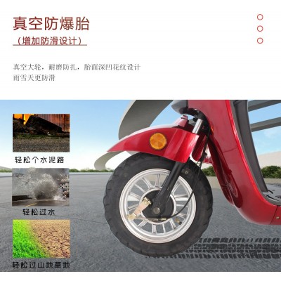 电动三轮车四轮车老人成人休闲代步车外贸出欧美海外仓电动车厂家图2