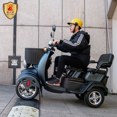 金夕阳电动四轮车电动电瓶车代步车老年人电动车成人家用接送孩子图3