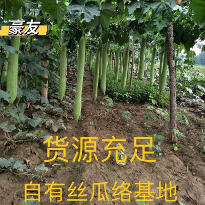 天然丝瓜络批发丝瓜瓤刷碗洗碗洗澡搓背药用丝瓜洗碗布百洁布批发图3