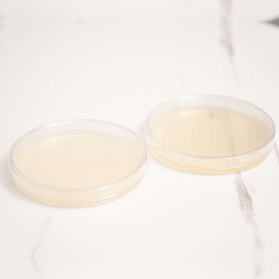 凯林即用型营养琼脂培养基平板9cm实验室微生物培养基细菌培养皿图2