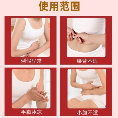 白云山调暖经宫贴经期不适艾草暖身贴益母草热敷发热贴红花 通经贴图3