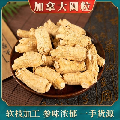 加拿大西洋参粒头 加拿大西洋参圆粒 花旗参段产地货源批发可切片图3