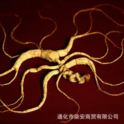 国检野山参20-65年长白山东北移林下参人参礼盒泡酒证书批发代发图2