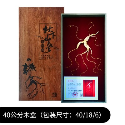 林下山参7-10年长白山野山参礼盒厂家干人参年货送礼 林下 参批发图5