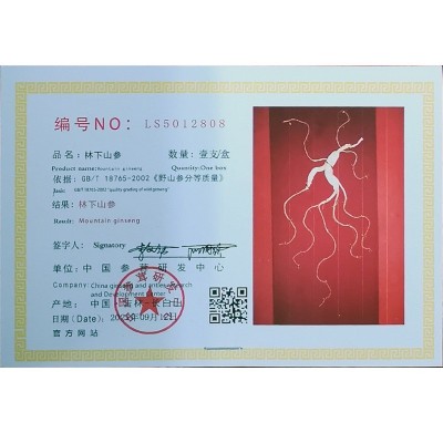 林下山参7-10年长白山野山参礼盒厂家干人参年货送礼 林下 参批发图4