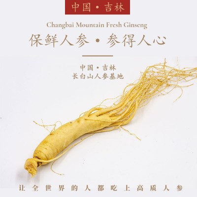 林界森海长白山新鲜人参批发东北土特产保鲜参煲汤火锅地摊泡酒参图4