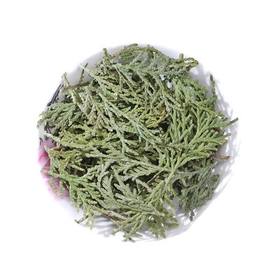 侧柏叶批发中药材侧柏叶青色柏树叶侧柏叶粉中草药侧柏叶常年大货图4