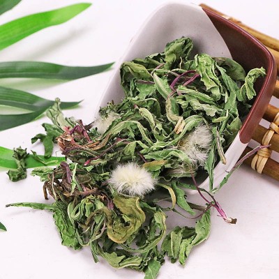 蒲公英中草药全株干蒲公英茶婆婆丁整颗野生蒲公英量大从优可开票图2