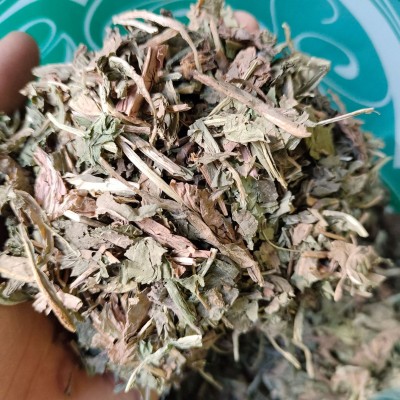 蒲公英中草药全株干蒲公英茶婆婆丁整颗野生蒲公英量大从优可开票图5