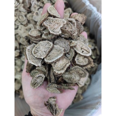 木香批发中药材 木香新货精品圆片木香图2