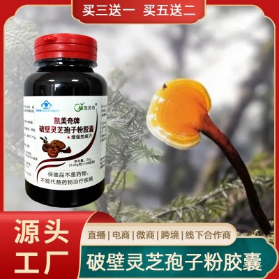 现货凯美奇牌破壁灵芝孢子粉胶囊买三送一买五送二支持代发图5