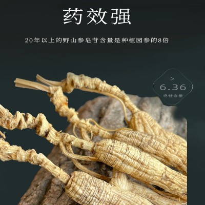 长白山林下参干货整支生晒20年散装野山人参林下籽产地批发礼盒装图2