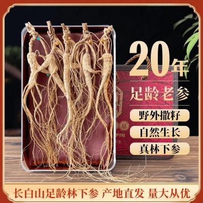 长白山林下参干货整支生晒20年散装野山人参林下籽产地批发礼盒装图5