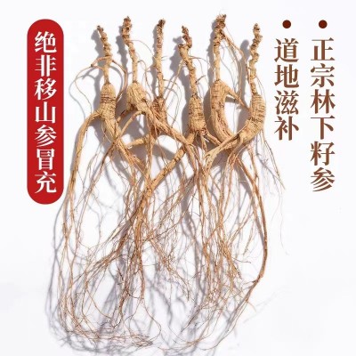 长白山林下参干货整支生晒20年散装野山人参林下籽产地批发礼盒装图4