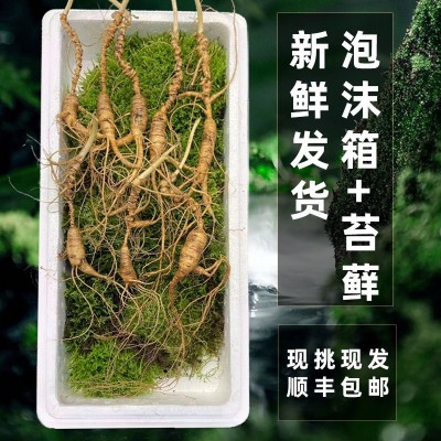 长白山28年新鲜林下参东北特产鲜人参整支林下野山参煲汤泡酒推荐图2